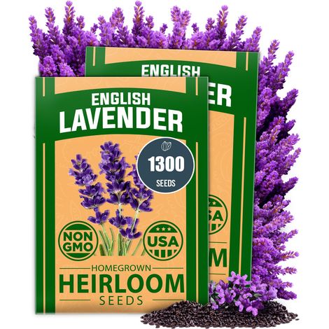 1300 Lavender Seeds, Decorative Flower Seeds, Suitable for Potted Plants and Garden Decoration