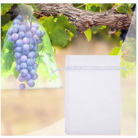 Organza-Fruchtschutzbeutel - 100 Beutel - 30cm x 20cm - Transparent