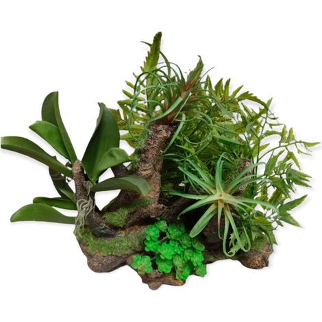 Racine et plantes, 36 x 31 x 33 cm, décoration aquarium. - animallparadise (1/5)