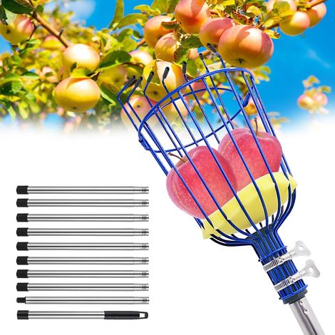 Outil de cueillette de fruits avec panier et coussinet en mousse, poteau de cueillette réglable en acier inoxydable de 89 à 395 cm – pour récolter le citron, l'avocat, la pomme, la mangue (1/4)