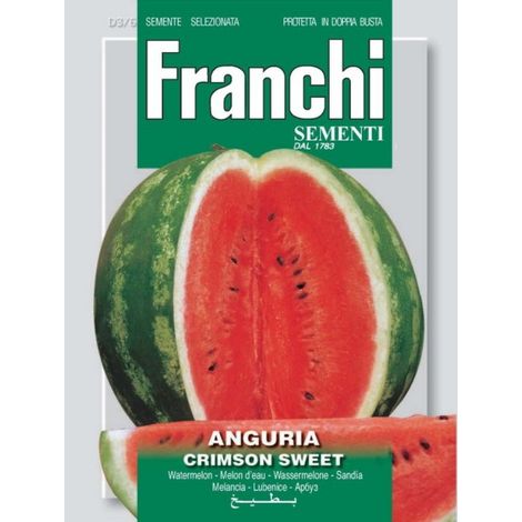 SEMI ANGURIA CRIMSON SWEET 3/6 (1/2)
