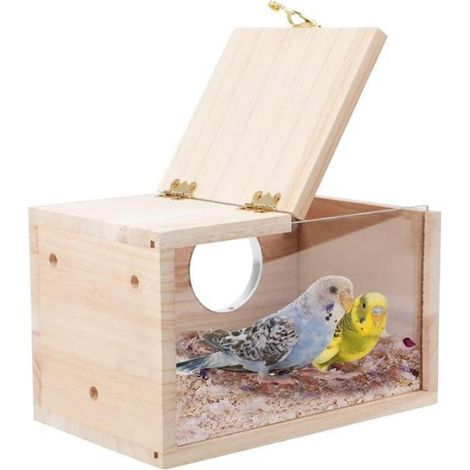 Nichoir À Oiseaux - Bois Naturel - Transparent Pour Observation - Convient Perruches Calopsittes Perroquets - 12 x 12 x 19,5 cm - 1 Pièce (1/4)