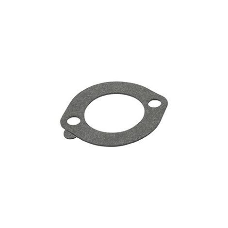 Joint de filtre à air BRIGGS ET STRATTON 272948S