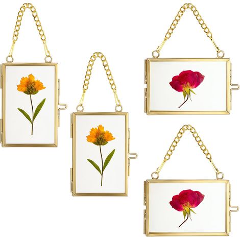 Lot de 4 cadres photo en verre et métal - À suspendre - Pour fleurs pressées - Cadre en verre uniquement (doré, 5 x 7,6 cm, rectangulaire, 2 x horizontal, 2 x vertical) (1/5)