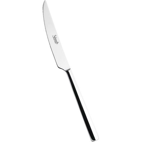 Salvinelli 250 set 12 coltello frutta forgiato acciaio inox