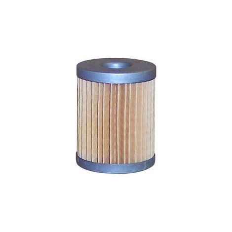 2175-032 - Filtre à Gasoil Adaptable pour Moteur LOMBARDINI (1/2)