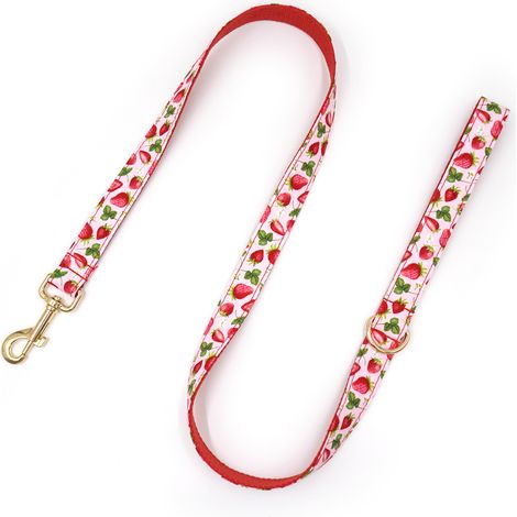 Collier et laisse pour chien floral XL en coton avec boucle dorée et design ajustable - Rose framboise (1/2)