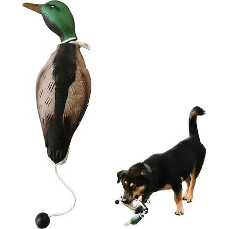 Dog Training Duck Dummy - EVA Material Trainer with Launching Rocker, Dog Retrieval Training Toys, Bird Dummy, Mallard Mimics Duck Bumper Toy