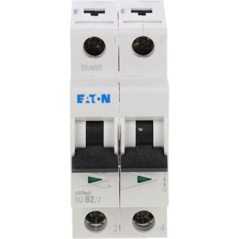 Interruttore automatico 2P B 2A 15kA AC FAZ B2/2 278722