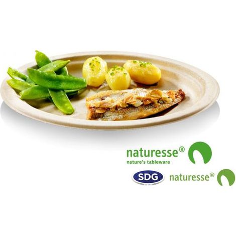 Assiette jetable plate Nature 23 cm en cellulose - 500 pièces - Ecobioshopping (1/2)