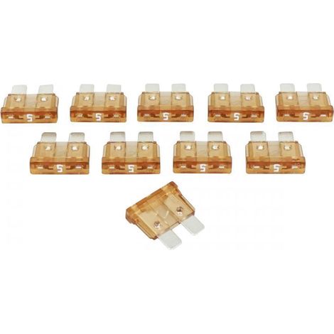 Kit de 10 fusible de 5A plat standard enfichable 19x19x5mm pour (1/3)