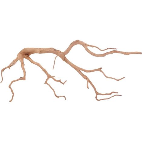 XXL Moorkienwurzel Nr.4295 Holz Deko Aquascaping