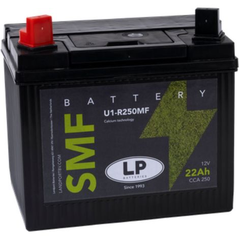 Batterie 12V 21Ah für Rasenmäher Rasentraktor LB U1-R250MF