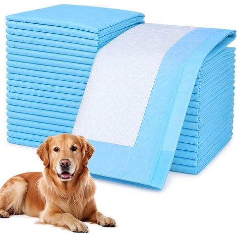 40 Tapis Éducateurs pour Chien 60 x 60 cm, Alèses Jetables Absorbantes (1/5)