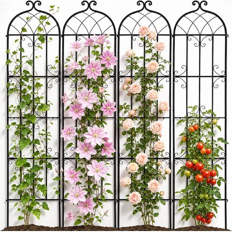 Traliccio da Giardino Rampicanti per Piante Fiori in Metallo (1/5)