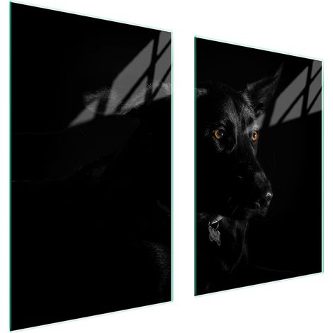 GLASSCHUTZPLATTE FÜR KÜCHE 65x52 HUND