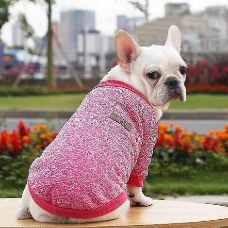 Ropa de primavera y verano para perros pequeños, suéter suave para mascotas, ropa para perros chihuahua, atuendo clásico para mascotas, ropa para perro rosa rojo (1/5)