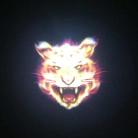 (Tiger) Projecteur laser LED universel pour portières de voiture avec logo de bienvenue et éclairage d'ambiance sans fil. Accessoires auto, kit d'éclairage de courtoisie pour véhicules. (1/4)