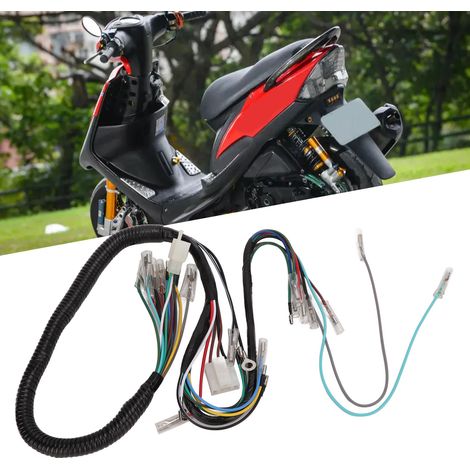 Der komplette elektrische Kabelbaum für das Fahrzeug ist mit der Yamaha RS 100 kompatibel. (1/5)
