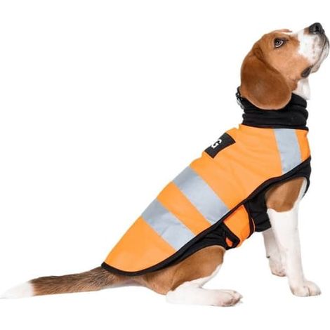 Gilet de sécurité réfléchissant pour animaux de compagnie - gilet en polyester visible pour chiens et chats, anti-frisson, quatre saisons, orange, taille M (1/5)
