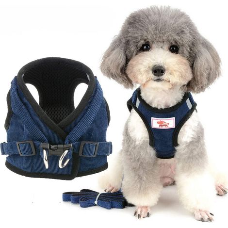 Harnais et laisse pour chien et chat réglable en maille respirante pour promenade et sécurité (1/5)