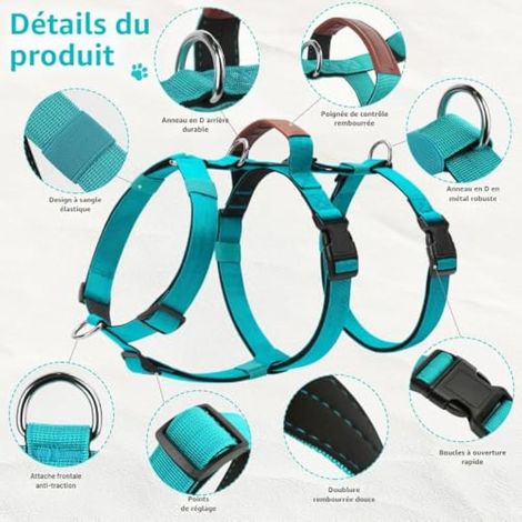 Harnais Anti Traction pour Chien, Harnais Anti Fugue Chien Réglable avec Poignée et Attache Devant, Arnet pour Chiens de Grande et Moyenne Taille (Sarcelle, XL) (1/4)