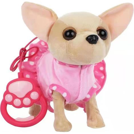 cane Chihuahua che cammina