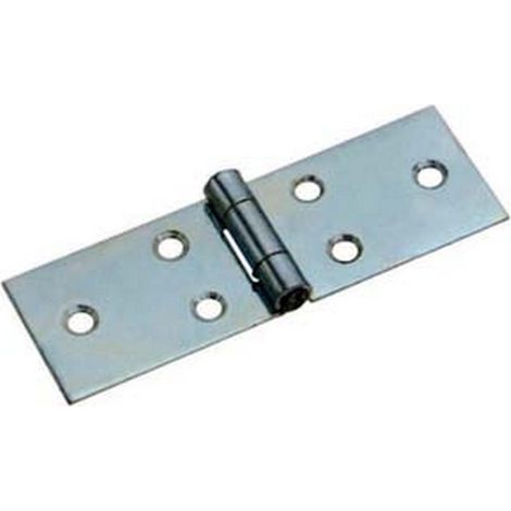 24PZ CERNIERE LUNGHE CON PERNO FISSO ART.122 - mm.22x60x1,0