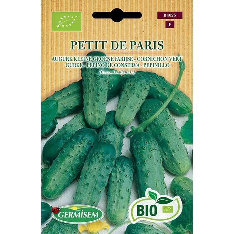 Graines Cornichon vert PETIT DE PARIS Multicolore