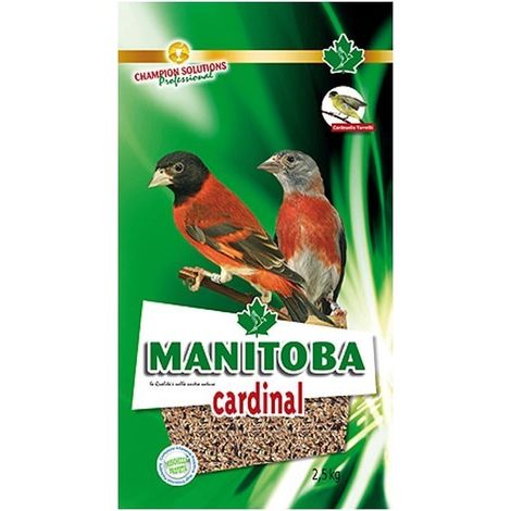 Cardinal - Manitoba - 800 gr