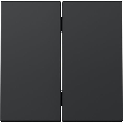 Tecla doble para mecanismo doble cruce basculante negro mate Simon 360 (1/5)