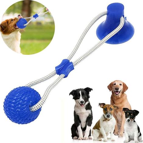 Jouets pour chiens à ventouses, jouets à mâcher pour animaux de compagnie (1/5)