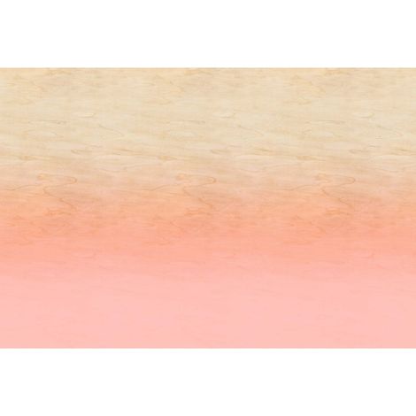 Papier peint panoramique moderne tendance salon Tapisserie panoramique pour veranda peinture Papier peint panoramique rose, orange et beige (1/2)