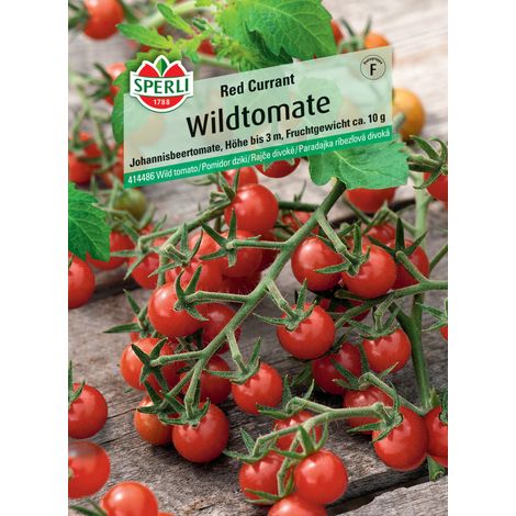 Sperli Wildtomate Red Currant (1/2)