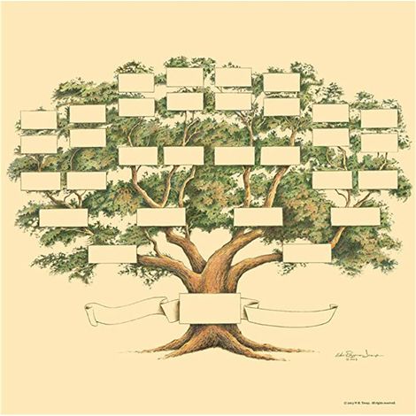 Arbre généalogique sur 6 générations : arbre généalogique pour l’histoire et les ancêtres (1/5)