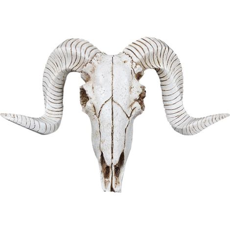 Tête de mouton en résine, crâne, décoration murale 3D, sculpture animale à cornes longues, figurines artisanales, cornes, ornements pour la maison (1/5)