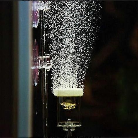 Pierre à air pour aquarium, diffuseur de bulles pour aquarium, pierres à air à haute teneur en oxygène dissous pour accessoires de pompe à air avec 1 clapet anti-retour et 2 ventouses pour aquarium (1/5)