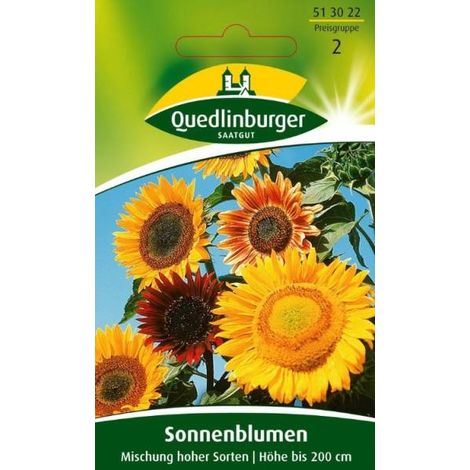Quedlinburger Sonnenblumen Mischung hoher Sorten - Blumensamen (1/2)