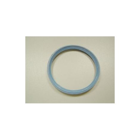Remeha Dichtelement DN80, blau