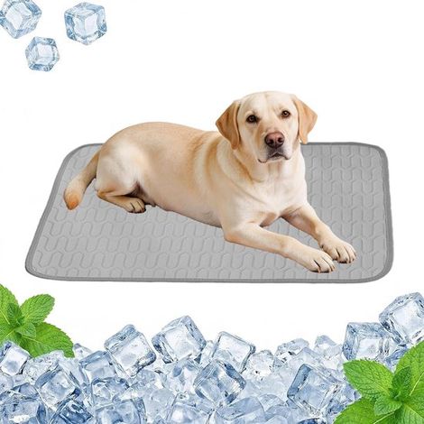 Materassino rinfrescante per animali domestici in seta di ghiaccio, tappetino portatile e morbido realizzato in materiale autoraffreddante, utilizzabile come coperta per animali, cuscino per divano, z (1/5)