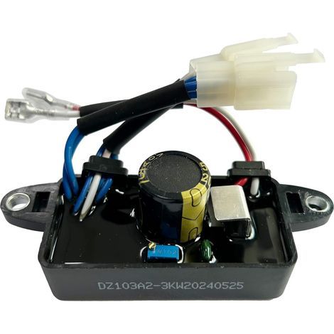 C·T·S Régulateur de tension automatique pour générateur monophasé 2-3 kW (1/5)