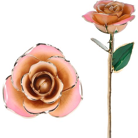 Rose éternelle 24k, tige longue, dorée à l’or fin, rose blanche et rose, artisanale, cadeau idéal (1/5)