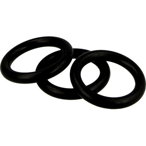 BOSCH Joint torique 26,3x5,33 (10x), 7099718