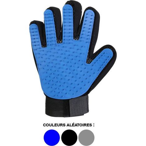Gant de brossage - CMP - Anti-poils - Pour chien et chat - Coloris aléatoire - Retire les poils (1/4)