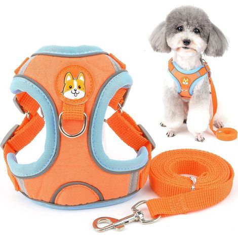 Geschirr- und Leinen-Set für kleine Hunde, verstellbares, reflektierendes Welpengeschirr aus weichem Wildleder, wasserdicht, orange, Größe S