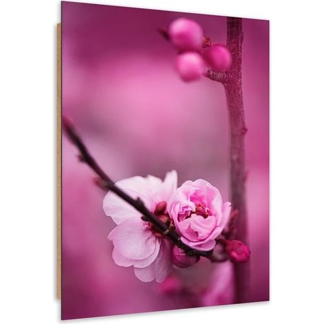Quadro deco panel, Fiore rosa e boccioli su un ramo - 40x60 (1/5)
