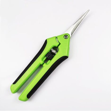 Cisailles de jardin manuelles professionnelles en acier inoxydable (1/4)