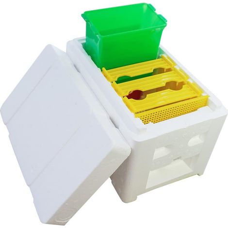 Boîte d'élevage de reines abeilles, noyau de fécondation Apidae, mini-colonies d'abeilles, apiculture - AquaForge (1/5)
