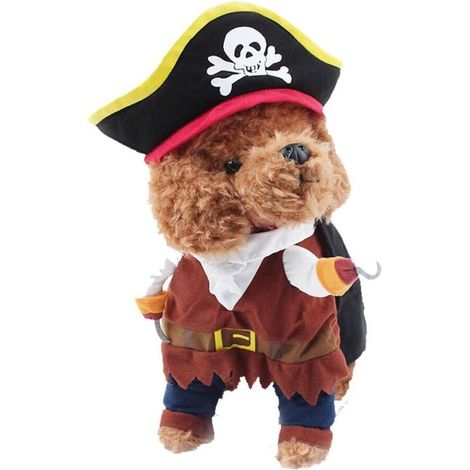Déguisement pour chien de compagnie, style pirate S (1/5)