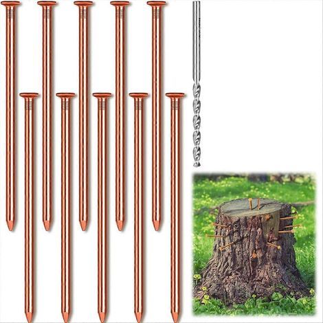 Lot de 10 clous en cuivre pour éliminer les souches d'arbres, clous en cuivre pur de 8 cm de long, vendus en vrac avec foret, pointes pour l'enlèvement des souches (1/5)